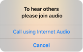 zoom-usando-internet-audio_.5x.png