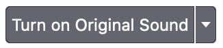 zoom-original-sound.png